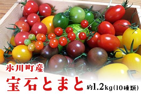 「ミヤザキファーム」 宝石とまと 熊本県氷川町産[12月上旬-6月末頃出荷予定] 小鈴 アイコ イエローアイコ オレンジ千果 みどりちゃん セレブスイート グリーンゼブラ 桃太郎ゴールド トスカーナバイオレット マイクロトマト ---sh_cmiyatmt_ac126_r7_13000_1200g---