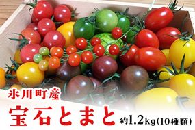 「ミヤザキファーム」 宝石とまと 熊本県氷川町産《12月上旬-6月末頃出荷予定》 小鈴 アイコ イエローアイコ オレンジ千果 みどりちゃん セレブスイート グリーンゼブラ 桃太郎ゴールド トスカーナバイオレット マイクロトマト ---sh_cmiyatmt_ac126_r7_13000_1200g---