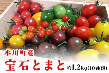 「ミヤザキファーム」 宝石とまと® 熊本県氷川町産《12月上旬-6月末頃出荷予定》 小鈴 アイコ イエローアイコ オレンジ千果 みどりちゃん セレブスイート グリーンゼブラ 桃太郎ゴールド トスカーナバイオレット マイクロトマト---sh_cmiyatmt_ac126_24_14000_1200g---