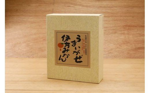 【愛媛県産柑橘使用】四国のしっぽ発 うまいがぜセット