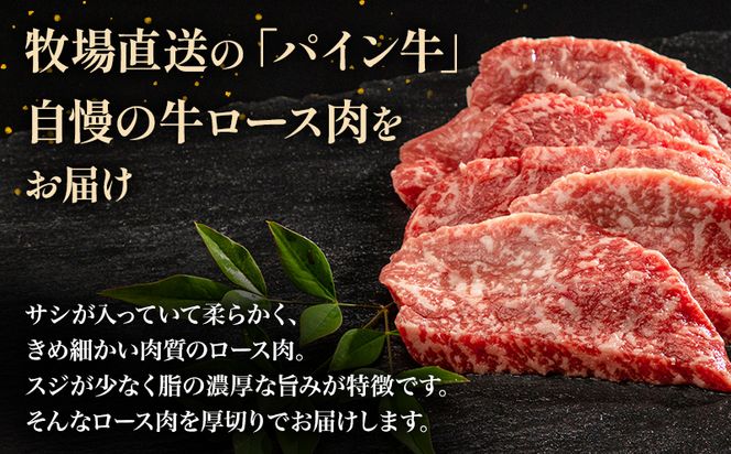 宮崎県産 黒毛和牛 パイン牛 ロース 焼肉 500g_M226-001