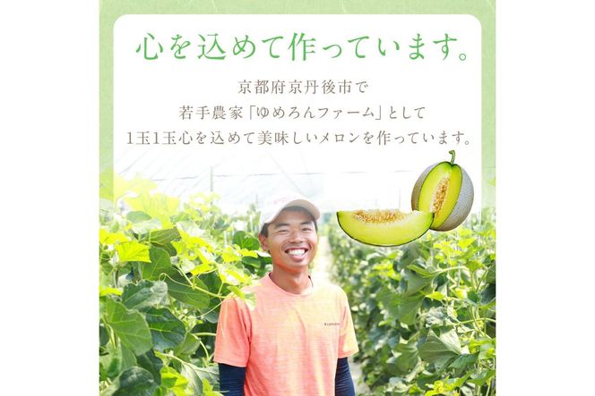 【先行予約／数量限定100】ゆめろんファームの青肉メロン（2026年6月上旬～発送）　DE00153