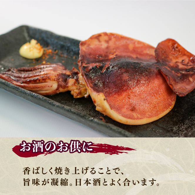 訳あり スルメイカ 1.2kg 8〜12枚入 いか スルメイカ 海鮮 魚貝類 魚介類 おつまみ 開き お酒のあて 煮物 おかず ご飯 白米 三陸産 岩手県 大船渡市 [56500643]