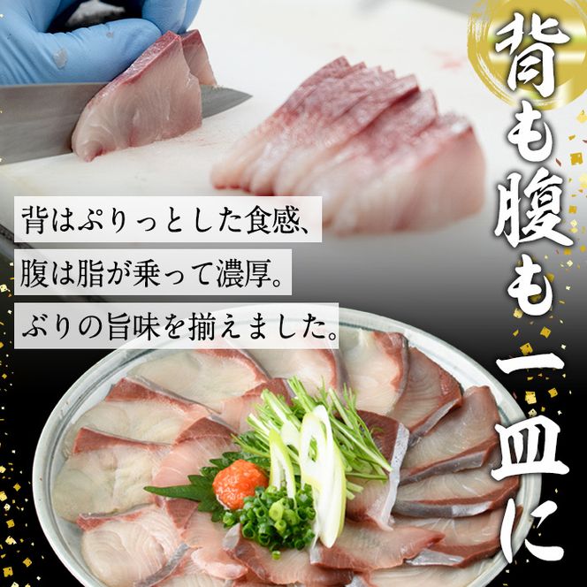 ブリしゃぶ食べ比べセット (合計300g・佐伯産かぼすぶり200g・献上品ぶり100g) 魚 さかな 鰤 鰤しゃぶ ぶりしゃぶ スライス 養殖 冷凍 お取り寄せ【DL21】【鶴見食賓館】