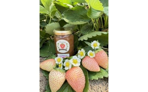 【数量限定】無添加 4種のいちごジャム（ミルキーベリー スカイベリー とちあいか とちおとめ）｜ 栃木県 さくら市 イチゴ 苺