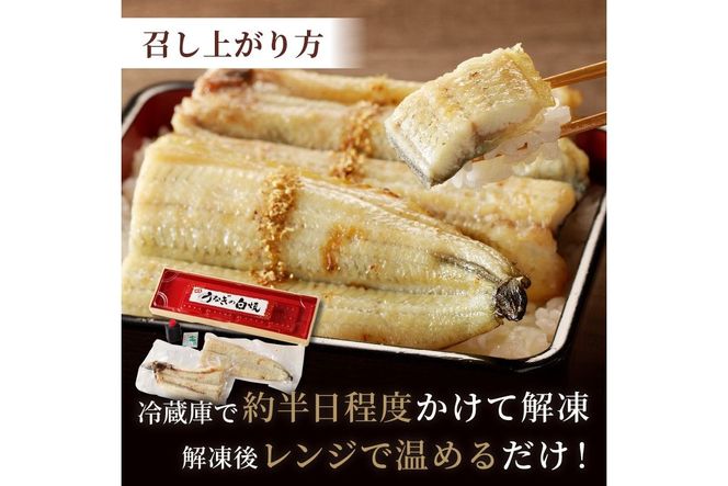 【土用の丑の日までに届く！】うなぎの白焼き2～3人前(1尾) ふるさと納税 ウナギ 鰻 白焼 しらやき タレ 国産 うなぎ 鰻 惣菜 京都 ギフト 贈り物 お祝い　AN00085