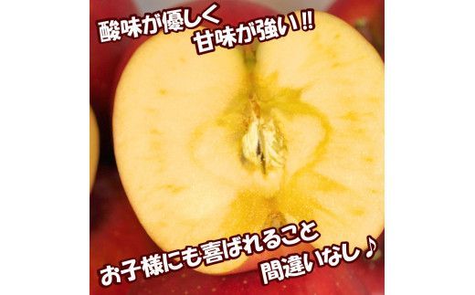【予約：2026年10月下旬から順次発送】北海道北見市産りんご 紅将軍 約2.5kg ( りんご リンゴ 林檎 果物 フルーツ 期間限定 )【044-0004-2026】