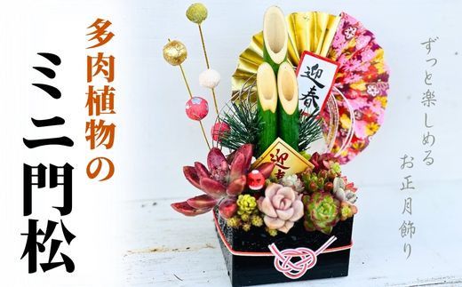  [先行受付]多肉植物のミニ門松