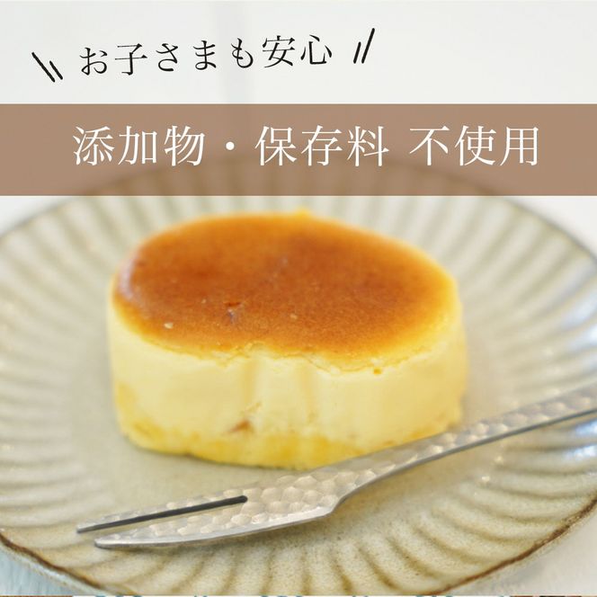 濃厚 半熟 スフレ チーズケーキ 20個  個包装 無添加＜半熟チーズ工房 京都 洋菓子館ベルジェノア＞≪半生 ケーキ スイーツ ギフト 洋菓子 手土産 母の日 敬老の日 祝い お取り寄せ≫