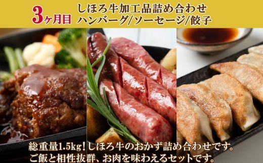 ■定期便■ 北海道 ご飯のお供 全3回 とうきびごはんの素 納豆 ゆきほまれ しほろ牛 ハンバーグ ソーセージ 餃子 納豆 頒布会 送料無料 十勝 士幌町 【X34】