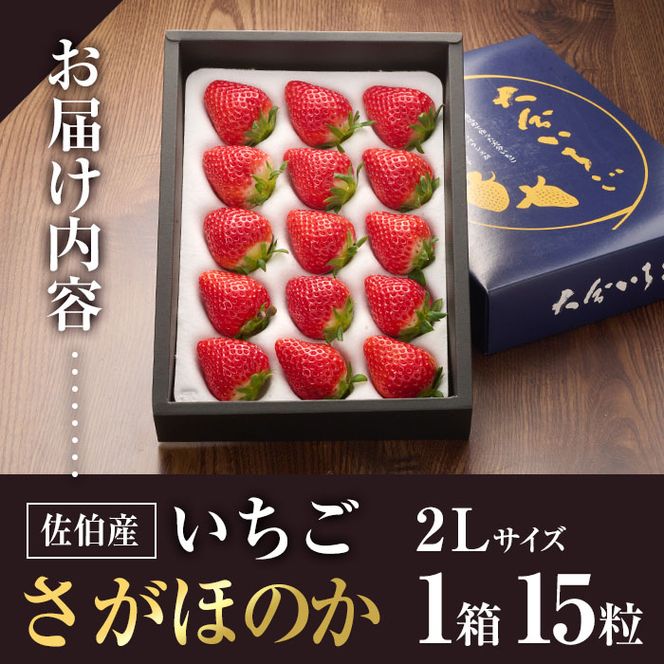 ＜先行予約受付中！2025年1月より順次発送予定＞＜数量限定＞ 佐伯産 いちご さがほのか (2Lサイズ：計15粒・1箱) 大分県産 イチゴ 苺 果物 フルーツ デザート スイーツ 甘い 大分県 佐伯市【BS64】【大分県農業協同組合 南部エリア (佐伯)】