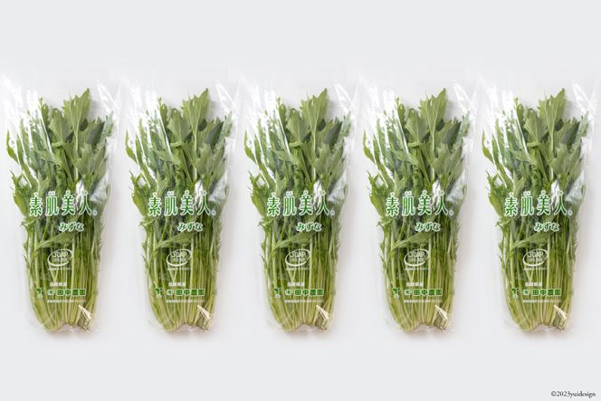 【BH015】水菜 150g×5束