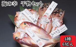 海の幸干物セット　A【1_2-093】