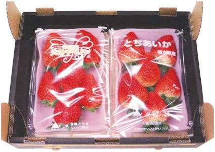 [先行予約・じゅわっと溢れだす] とちあいか＆スカイベリー食べ比べセット600g (12月中旬より順次発送予定)｜いちご イチゴ 苺 フルーツ 果物 産地直送 栃木県産 矢板市産 [0422]