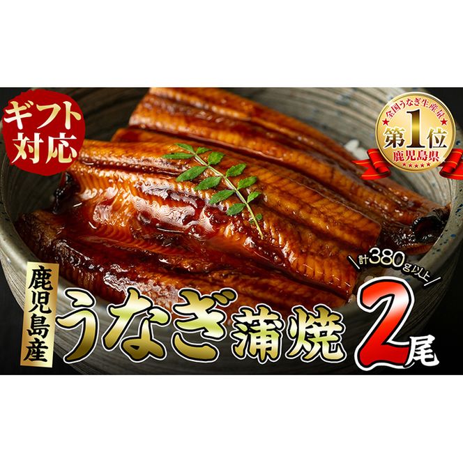 yuzuszyMtgΉz̋ɏイȂ2(190g×2)v380gȏい a7-003
