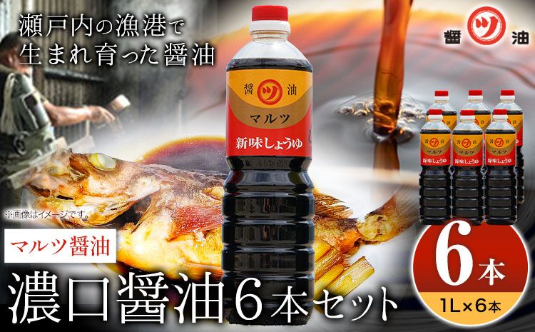 醤油 濃口醤油 6本セット 1L×6本 道広醤油店[90日以内に出荷予定(土日祝除く)]岡山県 浅口市 濃口醤油 甘口醤油 国産 調味料 しょうゆ 醤油6本 送料無料---124_166_90d_23_14000_6---