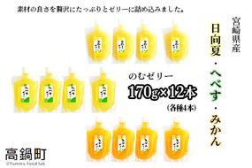 ＜宮崎県産 日向夏・へべす・みかんの のむゼリー各170g 合計12本＞翌月末迄に順次出荷【c342_ht_x3】