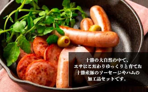 十勝のハム・ソーセージ ボリュームセット SKD003