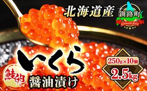 いくら醤油漬け 250g ×10箱 小分け　| 国産 北海道産 いくら いくら醤油漬 イクラ ikura 天然 鮭 サーモン 鮭卵 鮭いくら 北海道 昆布のまち 釧路町 笹谷商店 直営 釧之助本店 人気の 訳あり！ 父親の日 ご飯 米 無洗米 にも最適 年内配送 年内発送 釧路超 特産品　121-1928-01-086