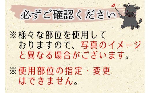 ＜宮崎牛 切り落とし 合計600g（200g×3）＞翌月末迄に順次出荷【a0330_ty】