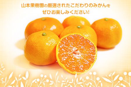 【先行予約】山本果樹園の旬のみかん 10kg 山本果樹園《９月中旬-2月末頃出荷》蜜柑 柑橘 ひのあかり 日南 豊福　肥後早生 青島 旬の品種をお届け！フルーツ 果物---hkw_ymk_3_10kg---