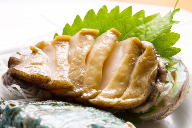 AF030【訳あり】漁協直送！島原ジオあわび 8個（ちょっと小ぶり：6cm以上）