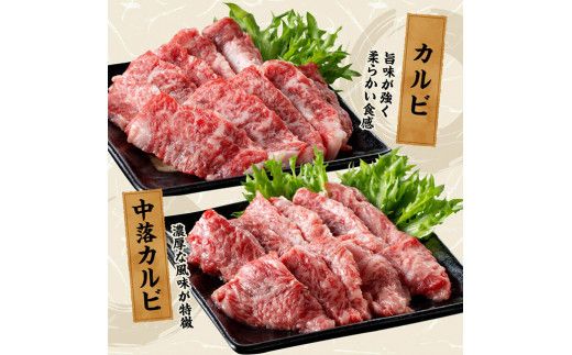 宮崎牛 焼肉 食べ比べ 6種盛 600g【 肉 牛肉 国産 宮崎県産 黒毛和牛 和牛 焼肉 バーベキュー 】[D11417]