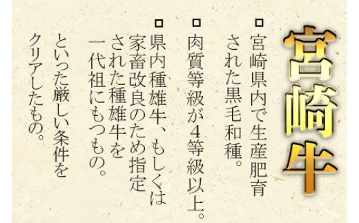 ＜宮崎牛ネック・チマキ（すね）煮込み用 800g＞翌月末迄に順次出荷【b0383_ty】