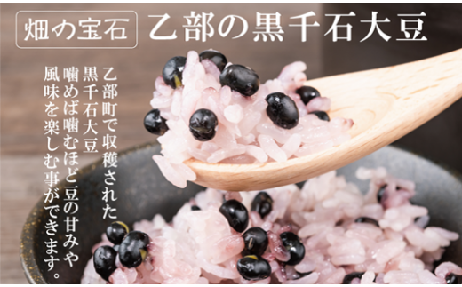 ＜豆ごはんの素　5袋＞北海道産黒千石大豆　簡単美味しい！お米と一緒に炊くだけ！