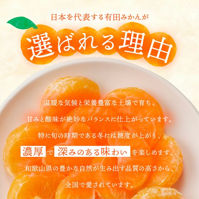 有田みかん「未来への虹」（5kg）(A973-2) 