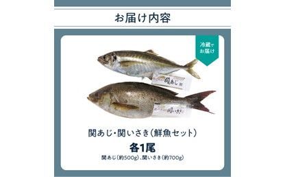 【E04022】関あじ・関いさき（鮮魚）セット（各1尾）