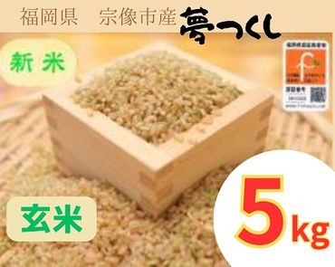 循環型有機肥料で育った玄米（夢つくし）5kg【アグリCATS】_PA1439