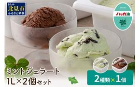 ミントジェラート1L 2種×1個 ( ジェラート アイス アイスクリーム ハッカ チョコ ミント ミントアイス スイーツ チョコチップミント カカオ ふるさと納税 )【007-0017】