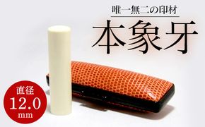 高級本象牙印鑑　12.0㎜×60.0㎜　はんこ ハンコ 実印 銀行印 認印 ケース付 オーダー ギフト プレゼント 贈答