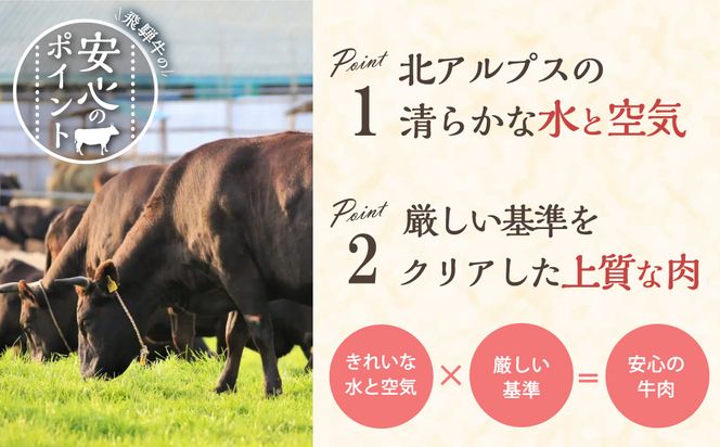 飛騨牛サーロインステーキ（サーロイン680ｇ）【0016-028】