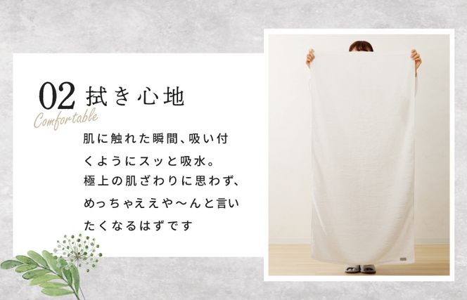 G2622 めっちゃええや～ん24 バスタオル 2枚 ホワイト【泉州タオル 国産 吸水 普段使い 無地 シンプル 日用品 家族 ファミリー】