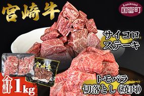 ＜宮崎牛サイコロステーキ ＆ 宮崎牛トモバラ切落とし（焼肉）合計1.0kg＞翌月末迄に順次出荷【a0382_ty】