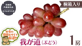 【 桐箱入り 】我が道〈ぶどう〉 1房 【9月から発送開始】（県内共通返礼品：かすみがうら市産） ぶどう 我が道 果物 フルーツ 季節 旬 [BI394-NT]