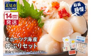 《14営業日以内に発送》ホタテとイクラとカニを食べつくす！船長おすすめのオホーツク丼ぶりセット ( オホーツク海 ホタテ ほたて 貝 魚介類 カニ かに 蟹 イクラ いくら 魚卵 鮭卵 鮭 さけ 海鮮丼 おつまみ 冷凍 )【114-0041】