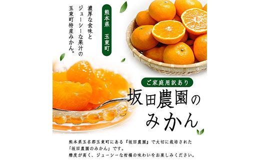 ご家庭用訳あり 熊本県玉東町産限定『坂田農園』のご家庭用みかん 大容量 約10kg(S-3Lサイズ)  フルーツ 秋 旬 玉東町70年のベテラン！濃厚な食味とジューシーな果汁 熊本県玉東町《10月上旬-1月末頃出荷》---sg_sktwmk_af101_25_11000_10kg---