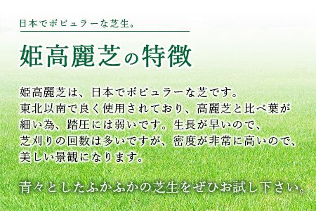 ＜姫高麗芝 2平方メートル＞2か月以内に順次出荷【c620_hg_x2】