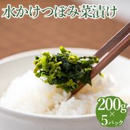 水かけつぼみ菜漬け　５パックセット【惣菜　漬物】