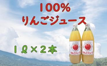 信州１００％リンゴジュース（1L瓶×2本）　（A-06）　