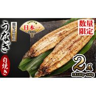 鹿児島県産 伊崎田のうなぎ白焼き ＜120g以上＞× 2尾(計240g以上) a4-083