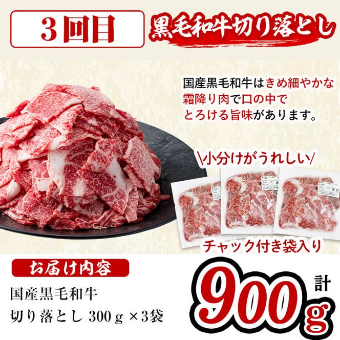 【定期便・全4回】肉と米を交互にお届け!牛肉・豚肉・お米の満足定期コース＜計23kg以上＞ t0057-001