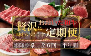 毎月お届け! おおいた和牛を贅沢に味わい尽くす半年間定期便 / 霜降り系 計6回_2313R