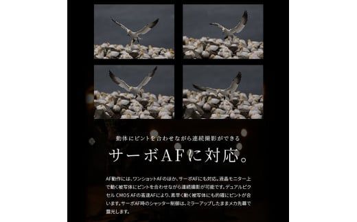 【Canon】 キヤノン 一眼レフ カメラ EOS 5D MarkIV WG ボディ キャノン 家電 _0009C