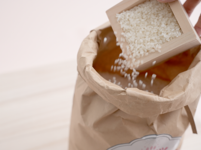 栃木県コシヒカリ 「桜花爛漫」 玄米 5kg 【ご飯 お米 コメ コシヒカリ 栃木県産 さくら市産】 ※北海道・沖縄・離島への配送不可 ※着日指定不可◇