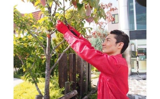 D061 空き家・草刈サービス