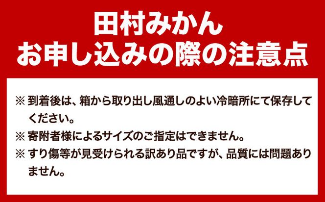 高級ブランド田村みかん 10kg 株式会社魚鶴商店《2024年11月下旬-2025年2月上旬頃出荷》 和歌山県 日高町 柑橘 フルーツ---wsh_utstm_l112_23_23000_10kg---